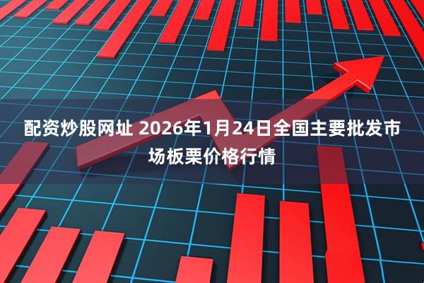 配资炒股网址 2026年1月24日全国主要批发市场板栗价格行情
