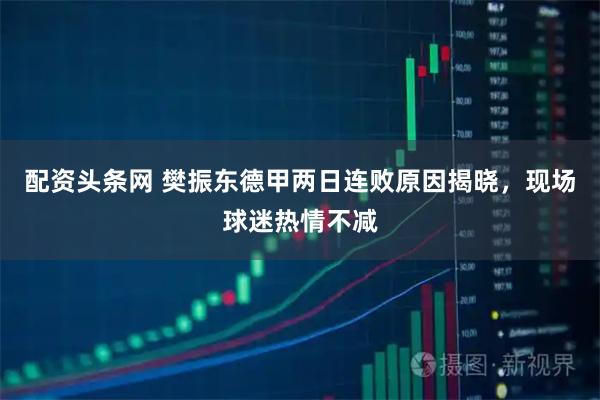 配资头条网 樊振东德甲两日连败原因揭晓，现场球迷热情不减